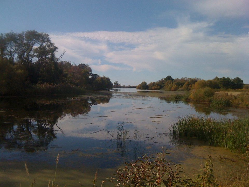 2nd image of Lot 97a-4