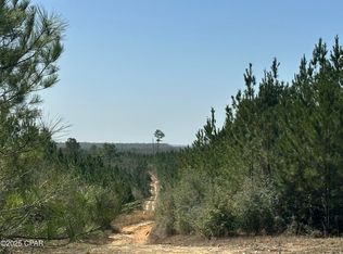 TRACT 6416 S Douglas Ferry Rd, Caryville, FL 32427