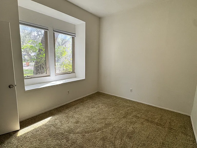 10101 Alcott Cv — Photo 10