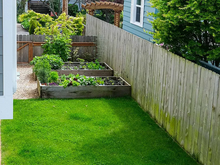Backyard view of lawn area that rental unit living room looks out to