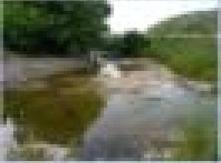 5165 Bridgeport Rd, Edmonton, KY 42129