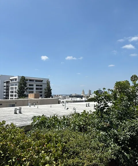 1925 Grace Ave — Photo 11