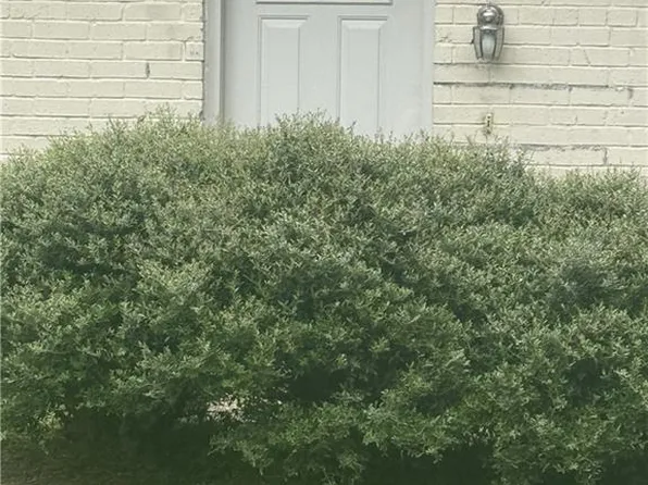 164 Northwood Dr, Slidell, LA 70458