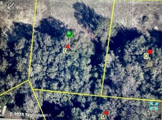 0 Cleftrock St, Webster, FL 33597