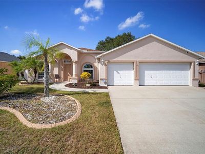 9815 La Vonda St, Riverview, FL, 33569