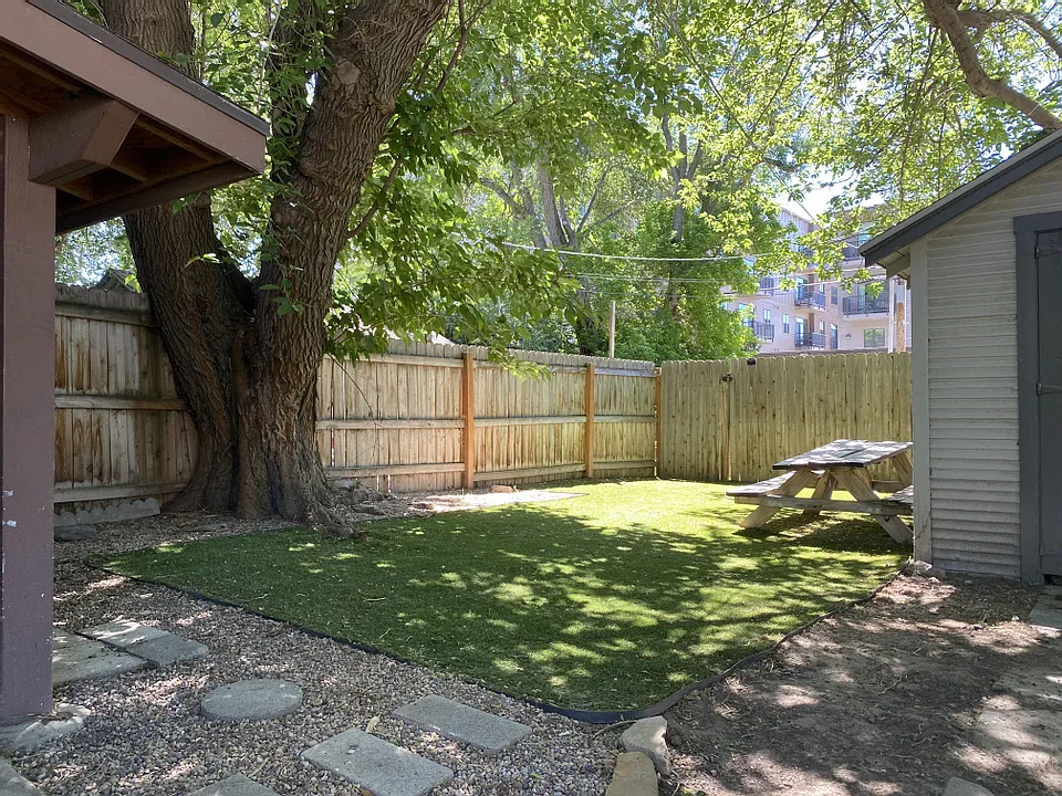 Studio, 250 sqft, $1,095 — Photo 3