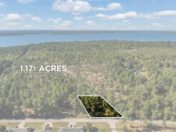 0 Pintail Dr Lot 3, Flint, TX 75762