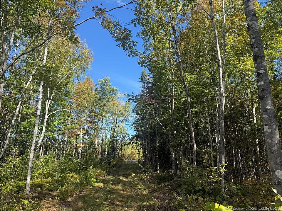 2nd image of LOT Bettsburg Rd