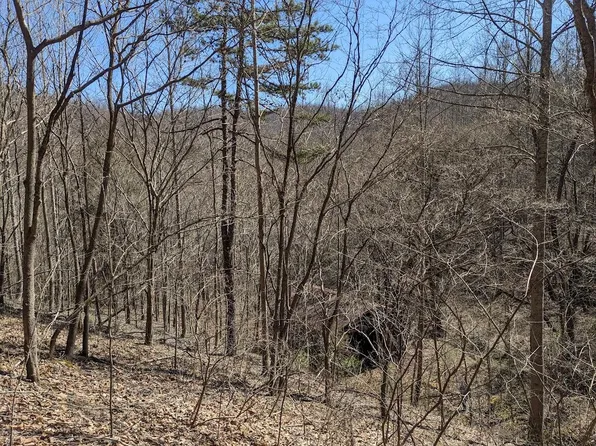 10895 N State Highway 11, Green Road, KY 40946