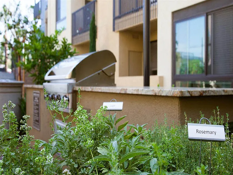 Terrena Apartment Homes — Photo 24