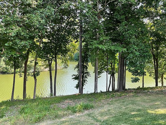 Pond View