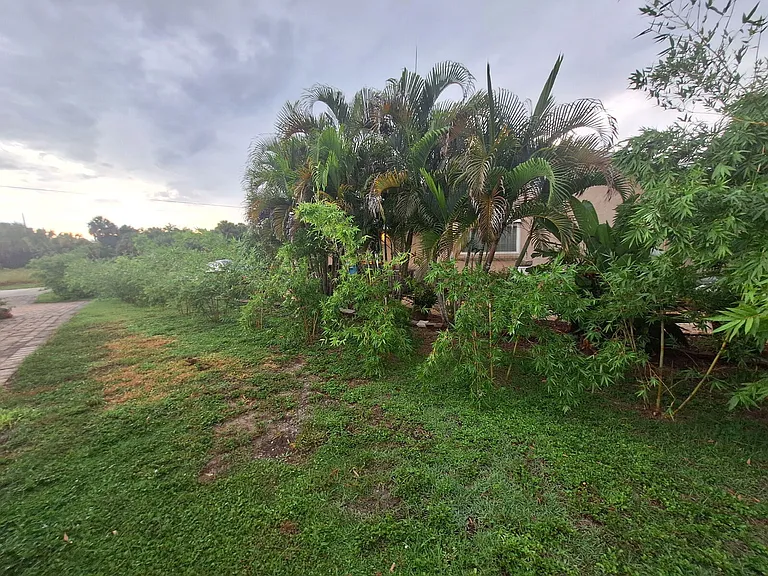 4050 Yucatan Cir — Photo 38