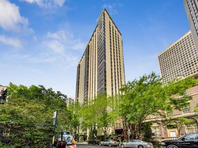 100 E Bellevue Pl APT 14B, Chicago, IL, 60611