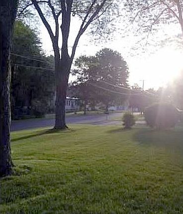 Front lawn view frm driveway