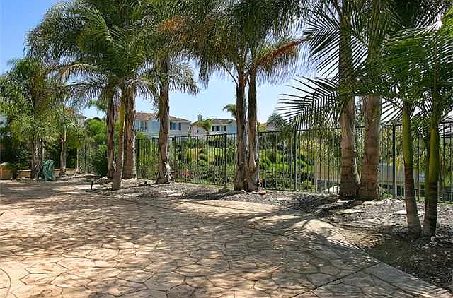 6735 Lemon Leaf Dr — Photo 2