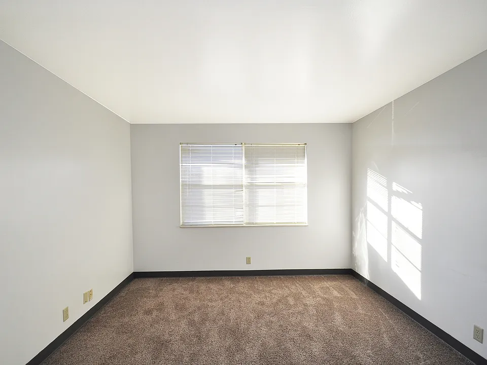Cozy bedroom with carpet