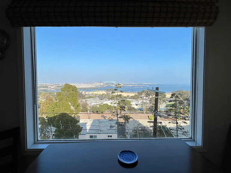 3700 Bluff Pl #3702.5 — Photo 5
