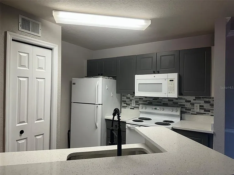4209 Woodstorks Walk Way #1205 — Photo 5