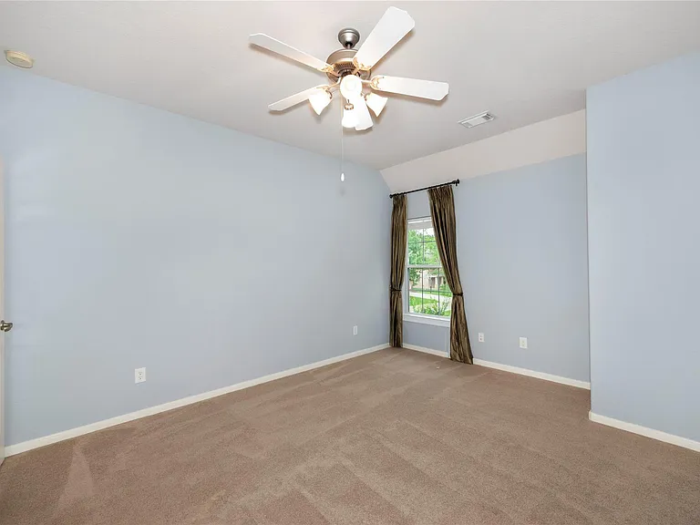 15 Pawprint Pl — Photo 40
