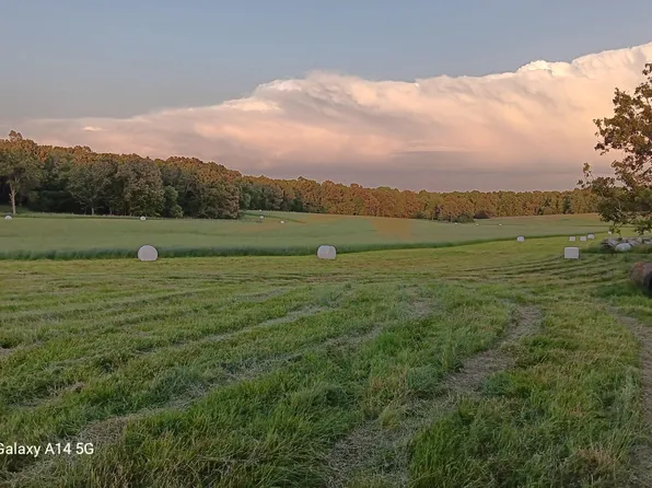 (undisclosed Address), West Plains, MO 65775