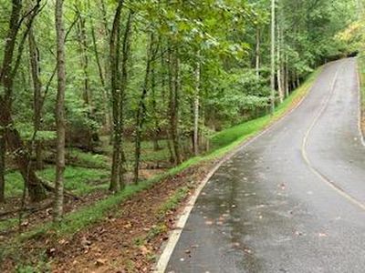 LOT 3485 Bamby Ln, Ellijay, GA, 30540