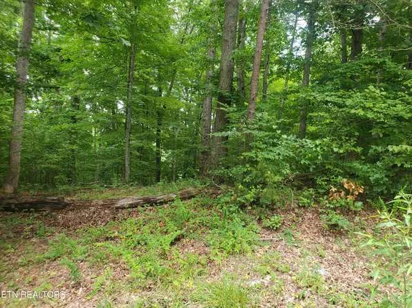 N Shorewood Ln, Caryville, TN 37714