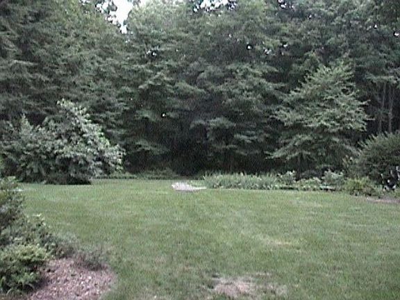 1 acre lot 