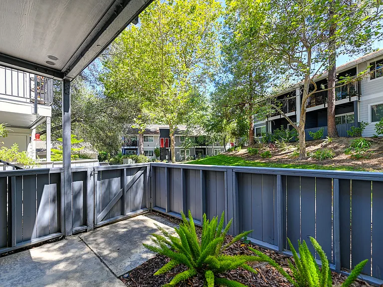 Lake Pointe Patio Views