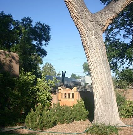 Front Yard looking W