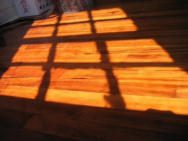beautiful hardwood floors