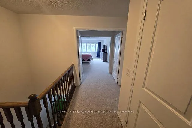 4098 Fracchioni Dr — Photo 13