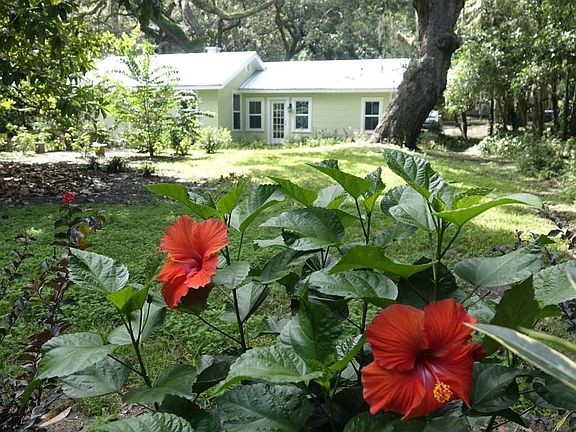 This is from the beautifully landscaped back yard