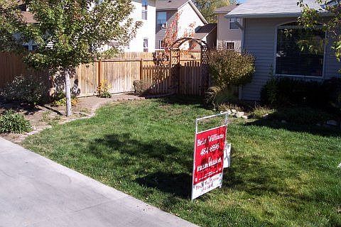 Front Yard
