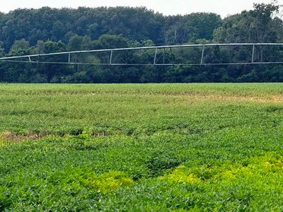 1200 County Road 1200 E, Grovertown, IN, 46531