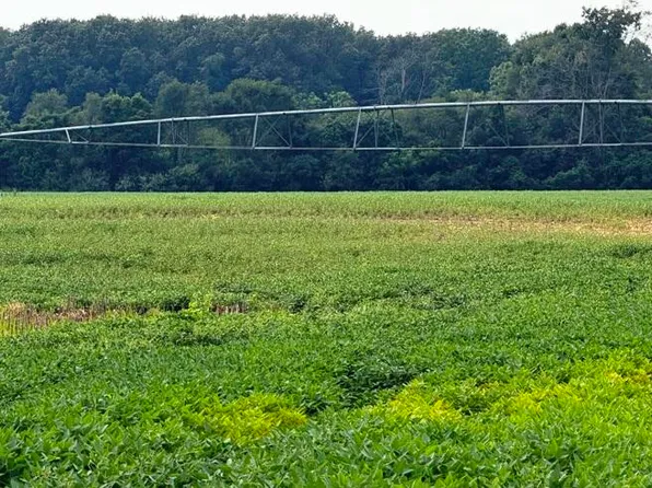 1200 County Road 1200 E, Grovertown, IN 46531