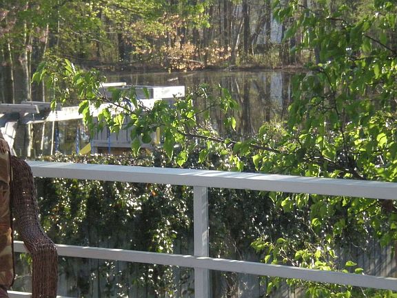 View from Screen in Porch