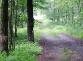 Avery Rd, Stratford, NY 13470