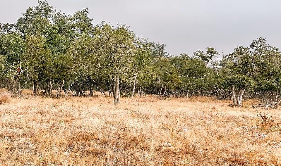 1st image of 35 Nott Branch Rd