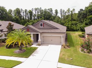 8501 May Port Ct, Land O Lakes, FL 34638