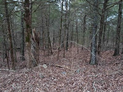 L 69 #70 & 71, Cherokee Village, AR, 72529
