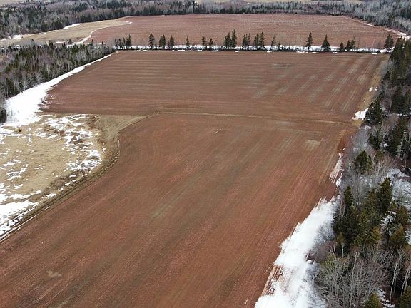 5th image of 141 Trout River Rd