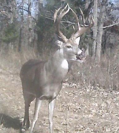 3rd image of 0 N County Road 3250 Rd