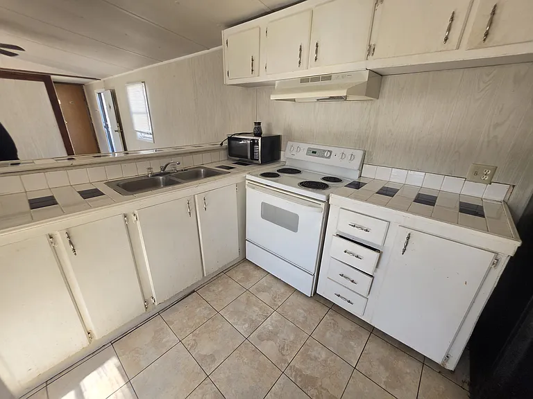 Swan Lake - Rent to Own — Photo 13