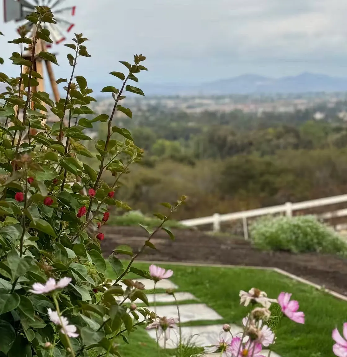 Ivy St, Murrieta — Photo 3