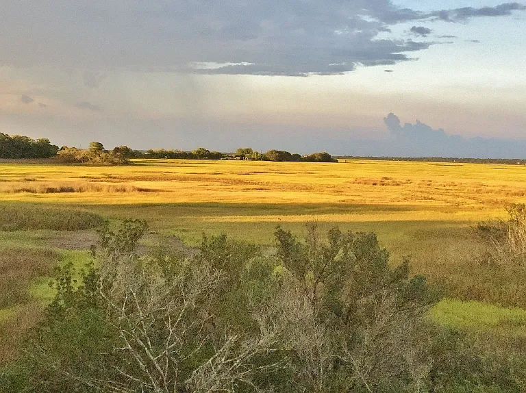 Golden sunset lights up the marsh and sky in different ways each day. Watch for bluebirds, herons, storks, ibis, egrets, eagles and osprey.