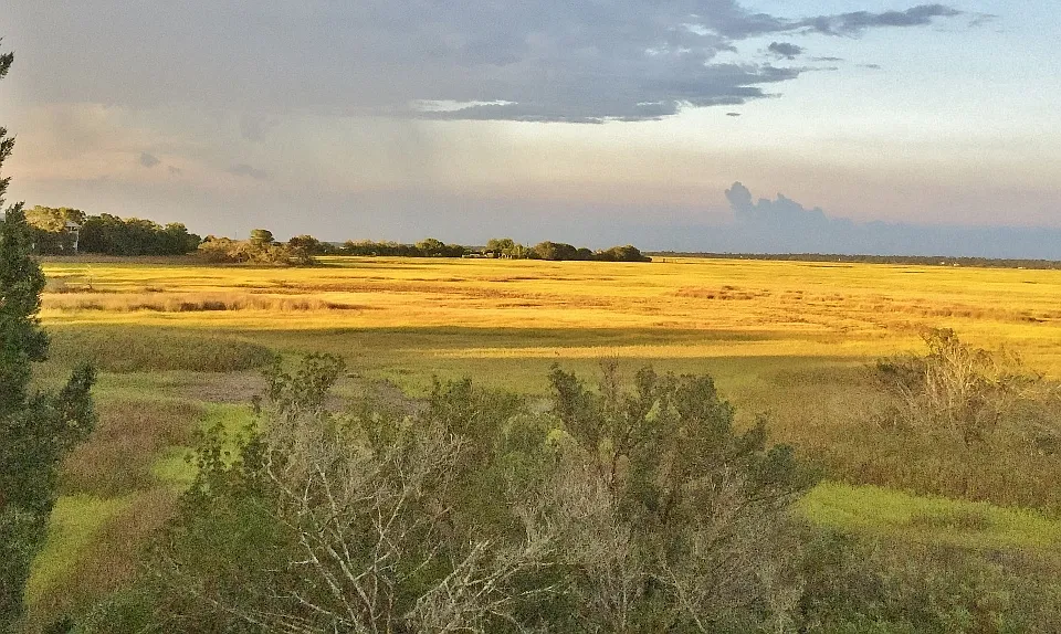 Golden sunset lights up the marsh and sky in different ways each day. Watch for bluebirds, herons, storks, ibis, egrets, eagles and osprey.