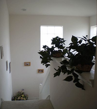 1st image of 31412 Triborough Dr