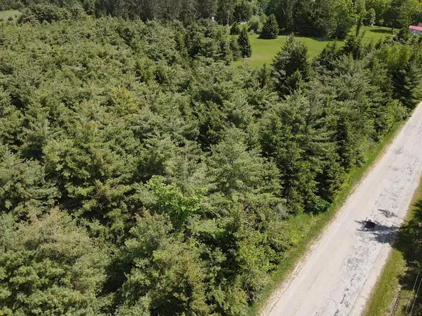 LOT 3 E West Resort Rd, Alanson, MI 49706