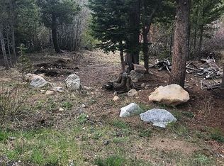 592 Aspen Rd LOT 592, Idaho Springs, CO 80452