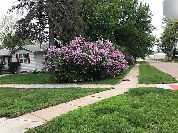 Beauty of the lilacs and benefits of a corner lot!